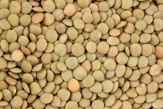 Green Lentils-Yesil Mercimek 1kg freeshipping - Arzum Market