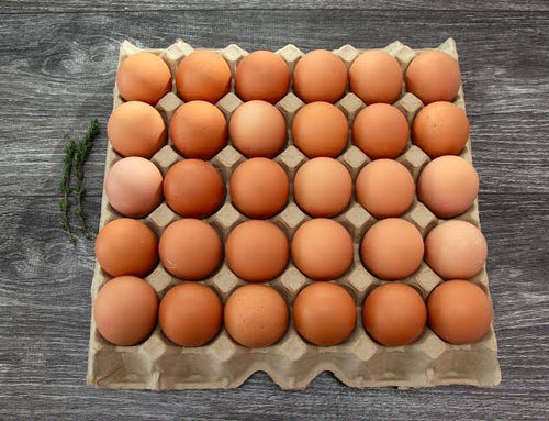 Fresh farm eggs freeshipping - Arzum Market