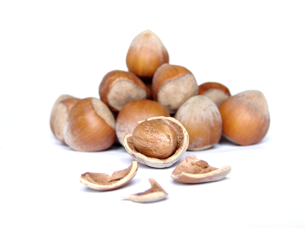 Hazelnut in shell freeshipping - Arzum Market