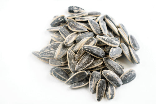 Salted Sunflower Seeds freeshipping - Arzum Market